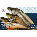 【ふるさと納税】その日のセリの一番魚お届けBOX　2～3人前（下処理済み） | 生魚 鮮魚 新鮮 産地直送 海鮮 魚介類 刺身 煮魚 焼き魚 徳島 人気 おすすめ 送料無料