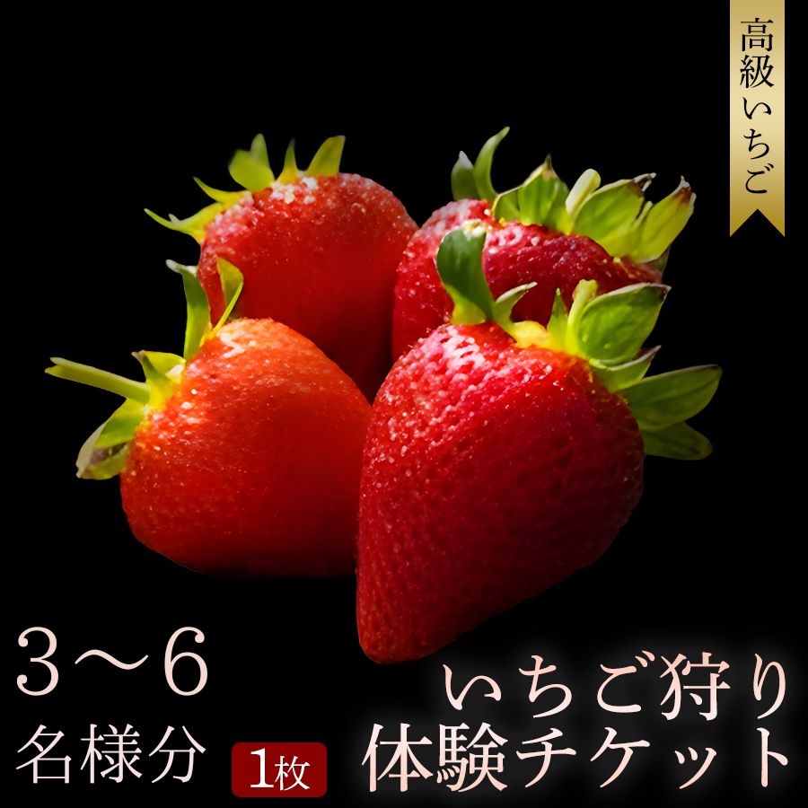 【ふるさと納税】 【開催時期 2027年1月1日～2027年5月7日】オリジナルいちごと人気ブランドいちごの食べ比べ いちご狩り体験チケット ( 3～6名様分) | いちご狩り 苺狩り いちご狩りチケット 体験チケット 農園 レジャー おでかけ 観光 食べ放題 贅沢 和歌山県 みなべ町