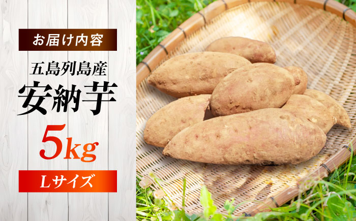 こばさんちの安納芋Lサイズ5kg 五島市/こばさんち農園 [PGW002]