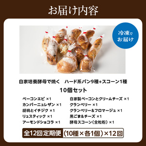 【全12回定期便】選べる回数！自家培養酵母で焼くハード系パン9種＋スコーン1種セット！ 065-04-T04