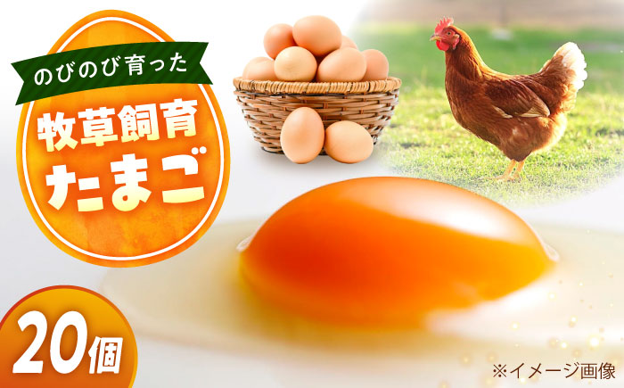 卵 天心山 たまご 20個入り 卵 たまご 高級 食品 たまごかけご飯 卵かけご飯 卵焼き 生卵 濃厚 ケーキ お菓子 づくり ランキング 上位 人気 おすすめ 定期便 広島県福山市/天心山ファーム [BABW003]
