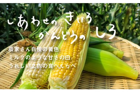 大地の恵み「とうもろこし2色セット」14本