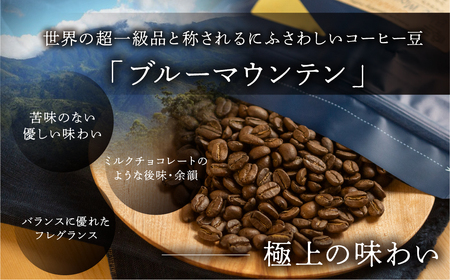 新鮮煎りたて最高級コーヒー豆（ブルーマウンテン 200g×1袋）【17-86】