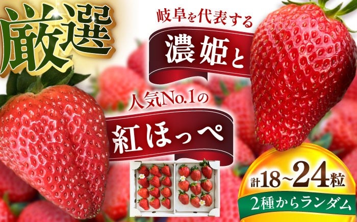 
            いちご 濃姫 ・ 紅ほっぺ （18粒～24粒）1箱　組み合わせ イチゴ 苺 果物 ストロベリー フルーツ くだもの 旬 生鮮食品 甘い ジューシー デザート 食べ比べ セット 詰め合わせ 岐阜県産 贈答用 高級 特産品 名産品 お取り寄せ ギフト プレゼント 贈り物 贈答 お返し 内祝い お祝い おすすめ 人気 おいしい 美味しい 岐阜市 / さかい農園 [ANFO001]
          