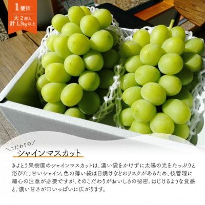 【発送月固定定期便】【きよとうファーム】シャインマスカット大2房と梨2-3種上級品(岡山県産)全2回【配送不可地域：離島】