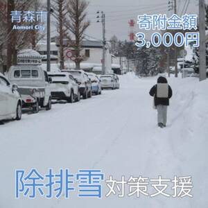 【返礼品なし】世界一の豪雪都市!雪に強い持続可能な都市づくり　3,000円