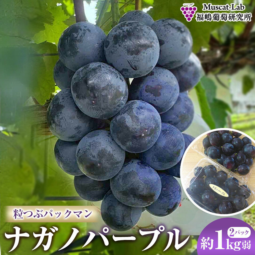 【ふるさと納税】【先行予約】2026　ナガノパープル　粒つぶパックマン2パック　約1kg弱　長野県産 【10月初旬頃～順次発送予定】国際特許有機肥料栽培 | フルーツ 果物 くだもの 食品 人気 おすすめ 送料無料