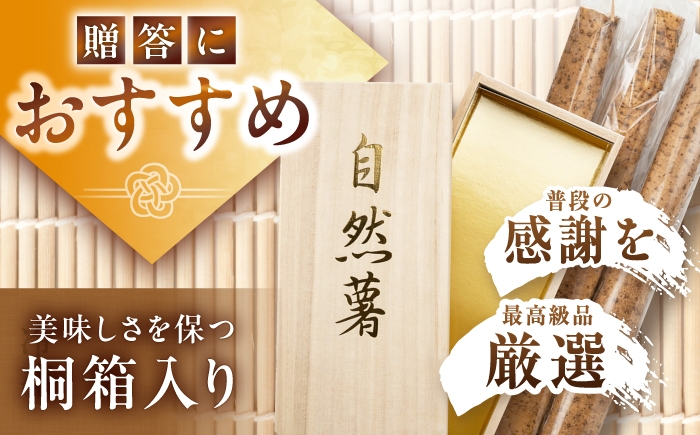 自然薯 とろろ 山芋 じねんじょ 産地直送 お取り寄せ 定番 健康 新鮮  贈答 ギフト おすすめ 人気 岐阜県 恵那市