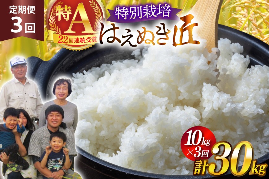 
                  米 定期便 3回 令和8年産 厳選米 匠 特別栽培米 はえぬき 10kg 計30kg [金子農園 山形県 高畠町 tk06ays950052] 精米 白米 米 お米 ブランド米 ごはん ご飯
                