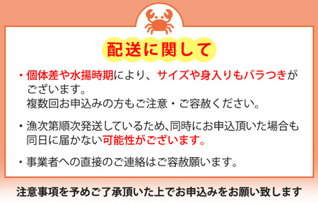 【極上】高志の紅ガニ1kg以上（孫七タグ付）
