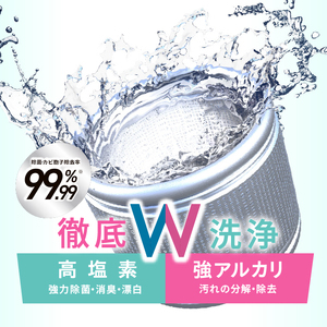 洗濯槽クリーナー 200g 1回分 WASHMANIA 洗濯槽クリーナー ドリームチーム