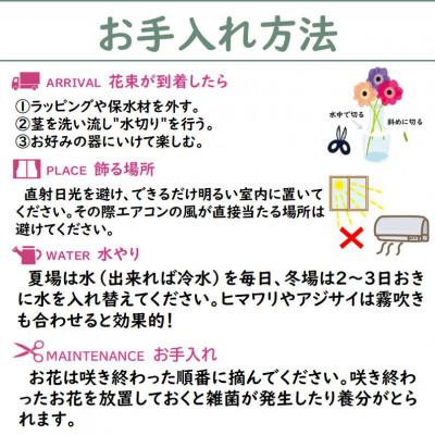 ふるさと納税 北上市 【毎月定期便】季節の花束プレミアム　全6回 |  | 03