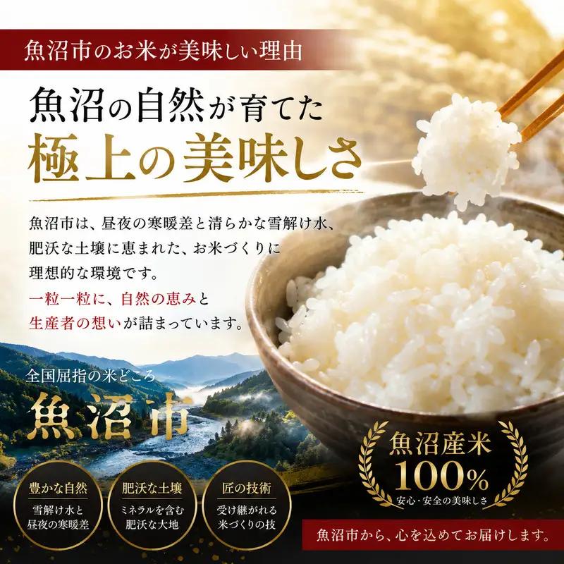 令和7年産 ブランド米 魚沼産コシヒカリ 無洗米 10kg（5kg×2袋） お米 