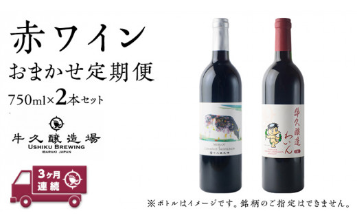 
【 3ヶ月連続 】 赤ワイン おまかせ 定期便 2本セット 飲み比べ 茨城県産 牛久醸造場 厳選 750ml × 2本 お酒 ワイン ワイン好き 初心者 上級者 贈り物 ギフト 詰め合わせ
