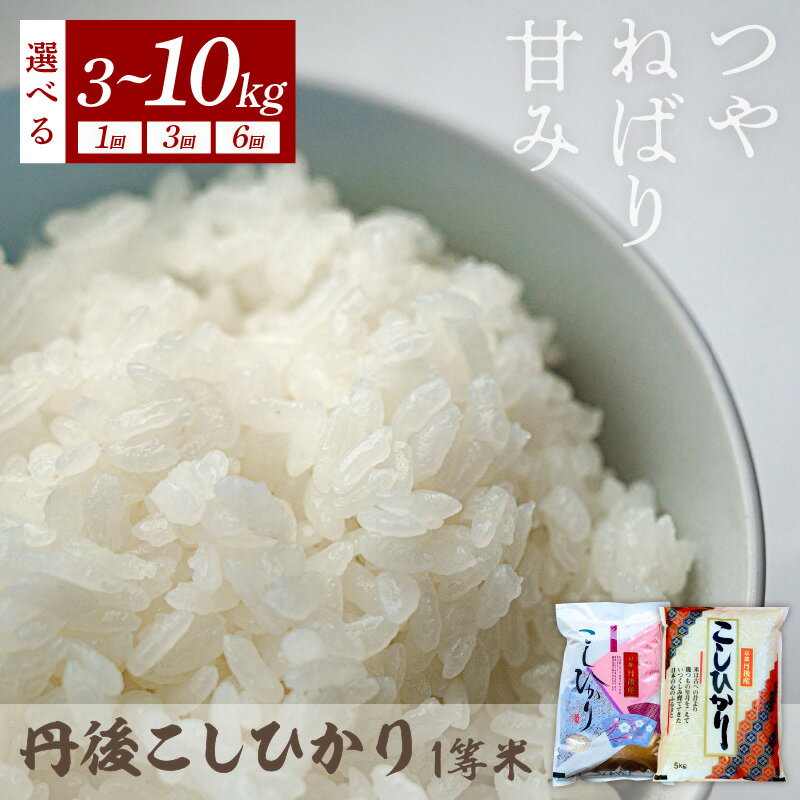 【ふるさと納税】令和7年産 1等米 丹後こしひかり 選べる 回数 内容量 3kg 5kg 10kg 1回 3回 6回 定期便 久美浜 国産 産地直送 お米 白米 丹後コシヒカリ おにぎり お弁当 京都産 京丹後 こしひかり 精米 ふるさと納税 コシヒカリ 米