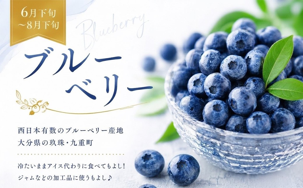 大分県産旬のフルーツ定期便