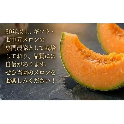 メロン ＜数量限定＞ おいわけメロン 糖度16度以上 2.0kg以上×1玉 赤肉 北海道 安平町産 【1102196】