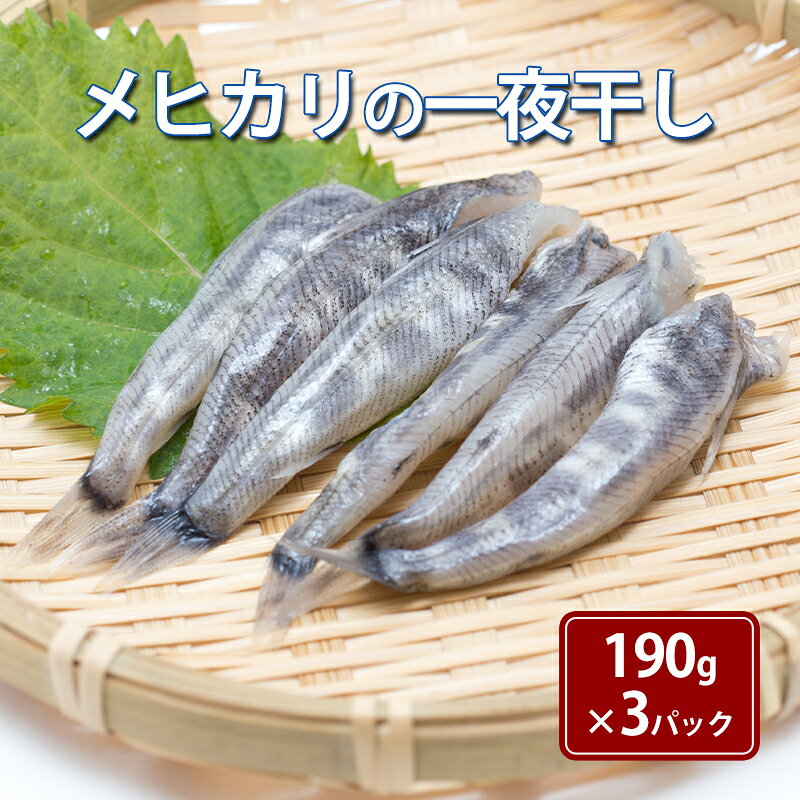 【ふるさと納税】メヒカリの一夜干し 福島県沖水揚げ 190g×3パック 塩焼き 白身魚 骨まで食べられる 産地直送 宮城県亘理町 水産加工品 ギフト お取り寄せ