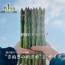 【ふるさと納税】朝採れ アスパラ【さぬきのめざめ】2Lサイズ　約1kg （25～30本）　観音寺市　お届け：2024年3月上旬～9月下旬※ご寄附（ご入金）確認後、約2週間で順次配送いたします。