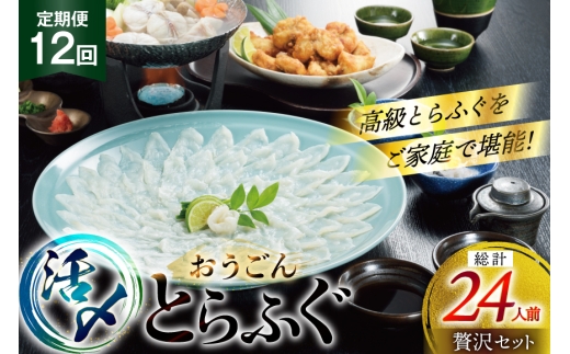 ふぐ 刺身 ふぐ鍋セット 活〆 おうごんとらふぐ 贅沢 セット 2人前 12回 定期便 [松永水産 長崎県 平戸市 hr42bgy400016] ふぐ刺し とらふぐ フグ 河豚 てっさ てっちり ふぐ鍋 湯引き 魚介 さかな お刺身 刺身用 さしみ 冷凍 海鮮