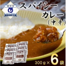 スパイシーカレー中辛(レトルト)300g×6袋