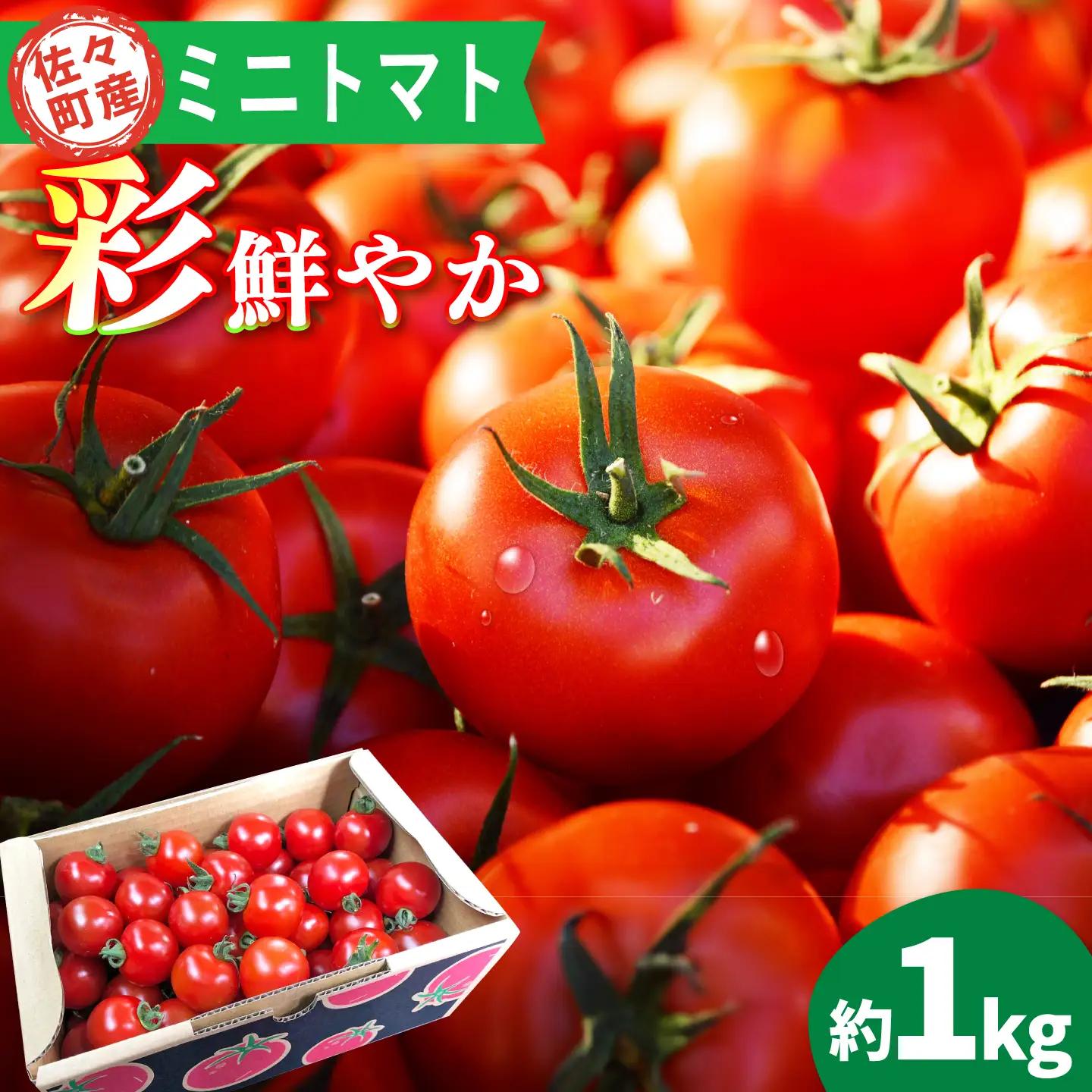 先行予約 ミニトマト 1kg[QBG003]
