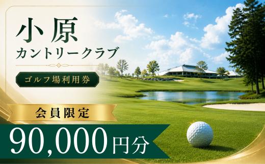 【会員限定】小原カントリークラブ ゴルフ場利用券30枚(90000円分) | 小原カントリー クラブ 小原カントリークラブ ゴルフ場 ゴルフ利用券 共通利用券 ゴルフ場の利用券 ゴルフ プレー券 ゴルフチケット ゴルフプレー ラウンド 利用券 チケット スポーツ レジャー ごるふ golf 愛知県 豊田市　