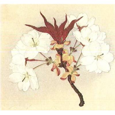 ふるさと納税 桜川市 「桜川七宝」より初重桜の七宝ペンダント |  | 02