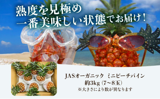 2026年 先行予約 パイナップル ついに実現！転換期間中　JASオーガニック ミニピーチ 3kg (7～8玉) 果物 フルーツ