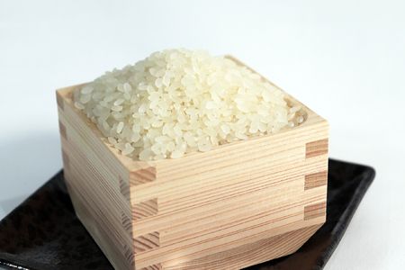 ≪令和7年産≫【12か月定期便】岐阜ミルキークイーン10kg(5kg×2袋)