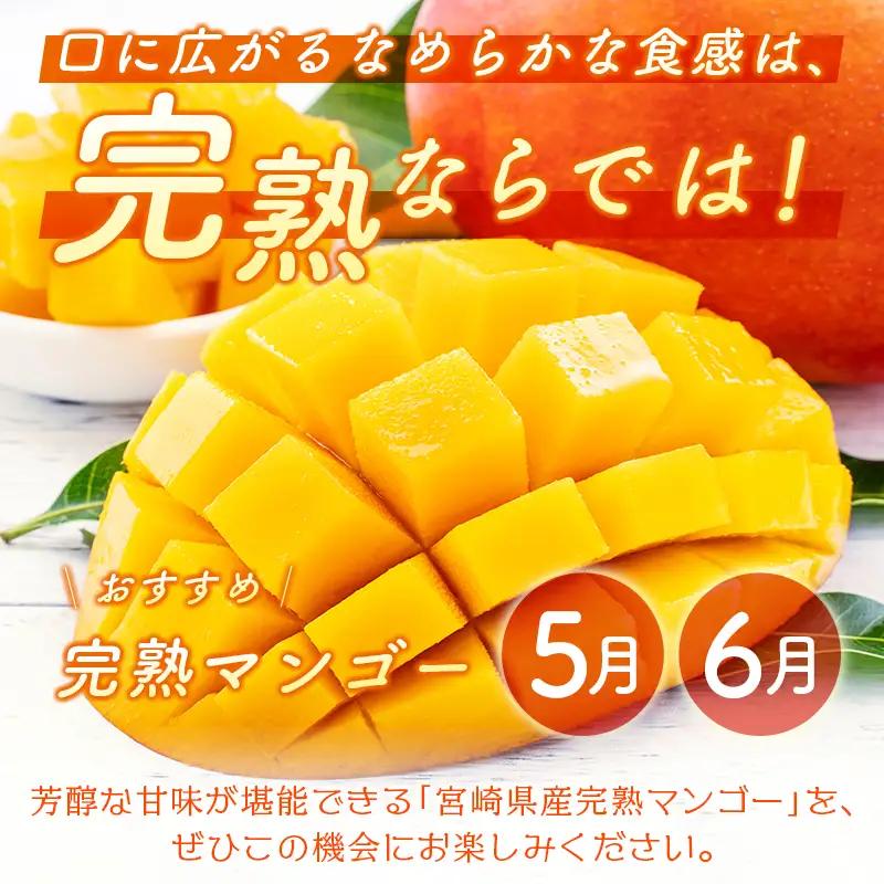 2027年出荷 新富町 特産フルーツ 詰め合わせ 定期便 9か月コース くだもの マンゴー ライチ メロン シャインマスカット ぶどう 柑橘 国産 F151-27