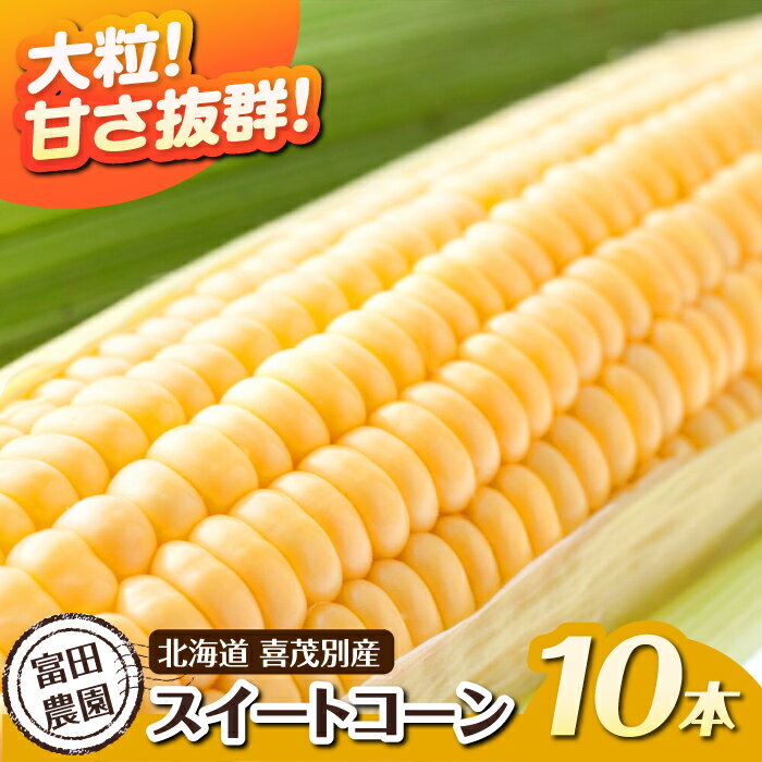 【ふるさと納税】【2025年分予約開始！】数量限定！こだわり農家の喜茂別産スイートコーン 10本 《喜茂別町》【富田農園/スプレス】 スイートコーン コーン トウモロコシ とうもろこし 夏野菜 野菜 季節の野菜 冷蔵 冷蔵配送 北海道 北海道 [AJAJ003] 15000 15000円