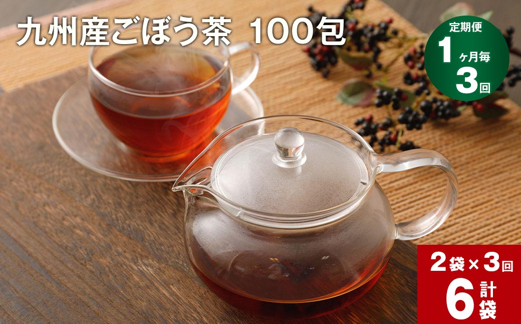 
【1ヶ月毎3回定期便】 ごぼう茶 100包 計6袋（2袋×3回）九州産
