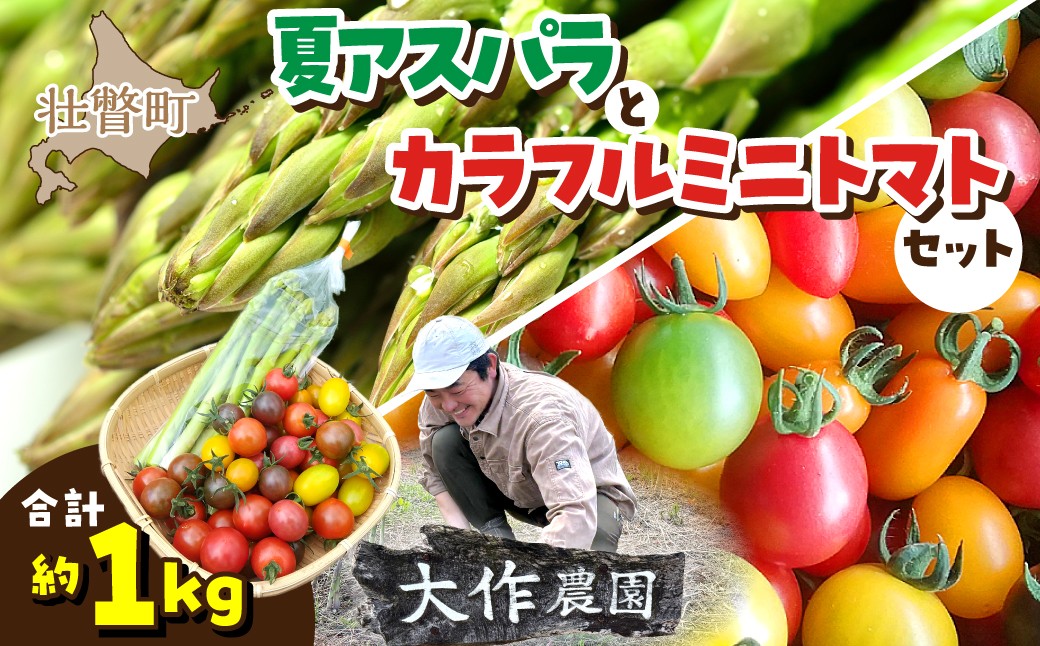 
                  ＜2026年7月上旬よりお届け＞北海道壮瞥町産　大作農園「夏アスパラとカラフルミニトマト」のセット約1kg 先行予約【 ふるさと納税 人気 おすすめ ランキング アスパラ あすぱら トマト とまと ミニトマト 野菜 セット 北海道 壮瞥町 送料無料 】 SBTR004
                