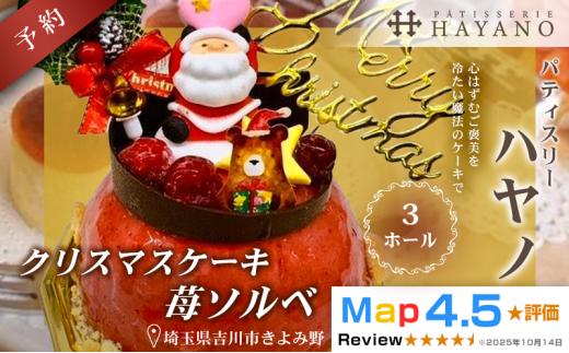 047-003 【数量限定・先行予約】クリスマス予約ジェラートケーキ (冷凍) 苺ソルベ 3ホール YSKBV006