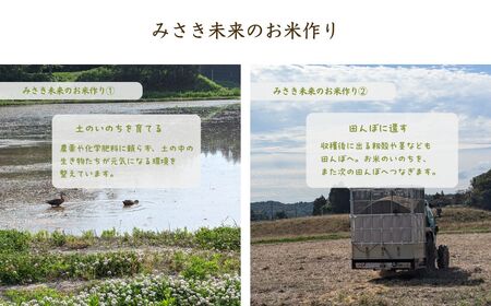 【定期便】令和7年産 コシヒカリ 玄米 30kg ( 5kg ×6回) | 農薬・化学肥料不使用 みさき未来