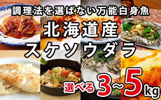 
                  【選べる内容量】楽しみ方は10通り！メニューに困らない万能白身魚 北海道産 すけそうだら 3kg～5kg 冷凍 内臓処理済み 鮮魚 
                