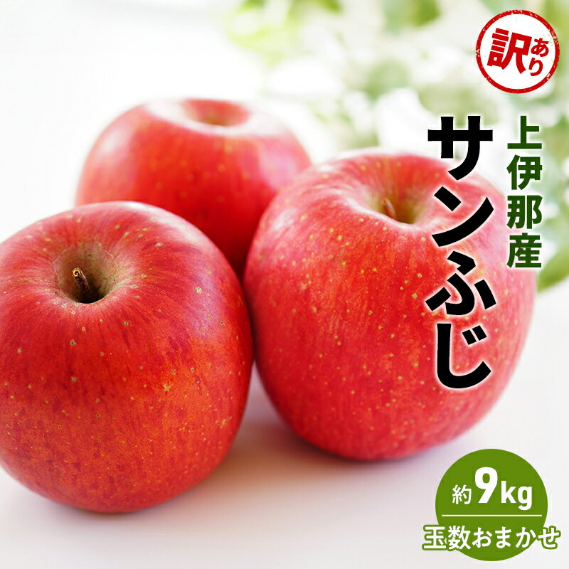 【ふるさと納税】訳あり りんご サンふじ 9kg (玉数おまかせ) 果物 フルーツ 信州 長野 駒ヶ根市　お届け：2025年11月上旬～12月下旬まで