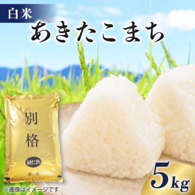 ふるさと納税 八郎潟町 【毎月定期便】あきたこまち 5kg 【白米】全10回