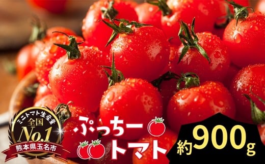 ぷっちートマト ミニトマト 900g | 野菜 やさい ミニトマト ミニ とまと トマト 900g リコピン 熊本県 玉名市