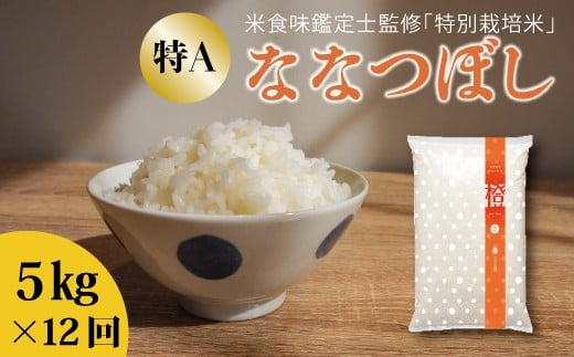 令和7年産【定期便】特別栽培米ななつぼし 5kg×12回 舟山農産