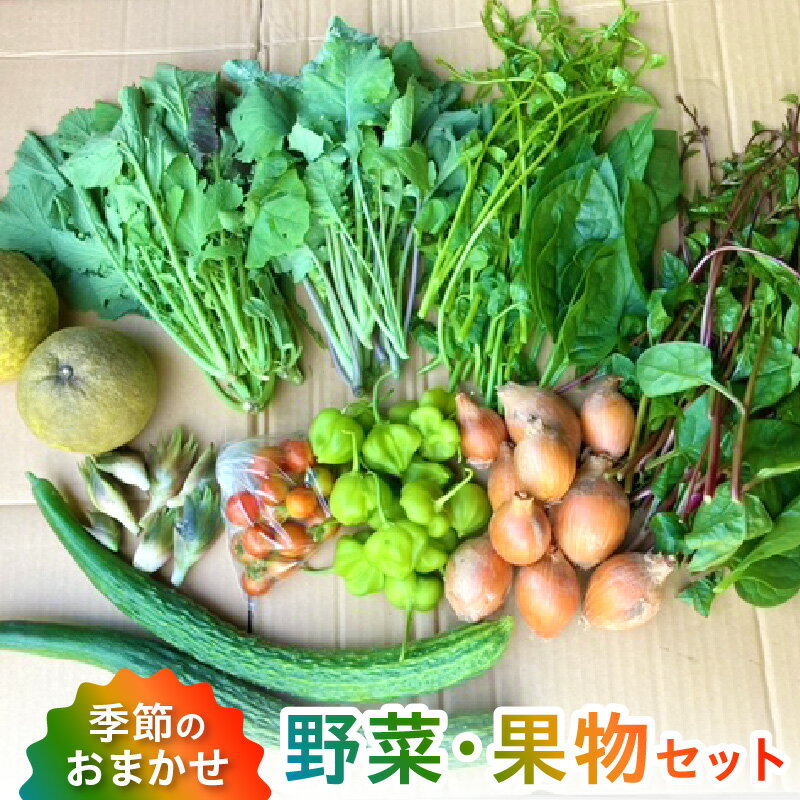 【ふるさと納税】野菜 果物 セット 旬 詰合せ 8〜10品 おまかせ 採れたて 晩柑 温州みかん ビワ スモモ レモンいちじく 甘柿 自然栽培 季節 露地栽培 栽培期間中農薬不使用 安心 お楽しみ 常温 冷蔵 天草産 九州 産地直送 お取り寄せグルメ 熊本県 天草市 送料無料