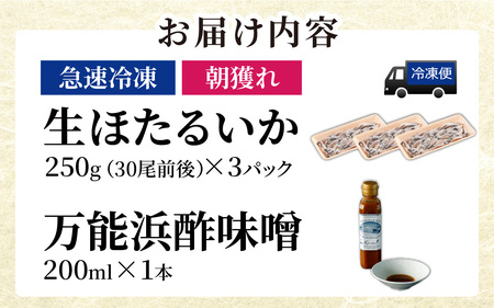 生ホタルイカ急速冷凍とオリジナル万能酢味噌付き【カネツル砂子商店】 [A-002012] 