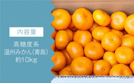 【数量限定】高糖度系 温州みかん(青島) 約10kg【長崎ぶんたんの会】 [OAF006] / みかん みかん みかん みかん みかん みかん みかん