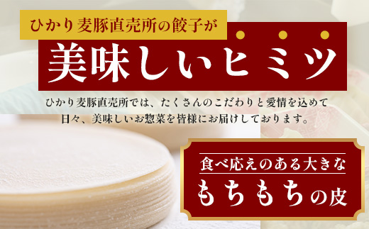 【ひかり麦豚】ちょっと大きな 餃子 42個 セット HM-707