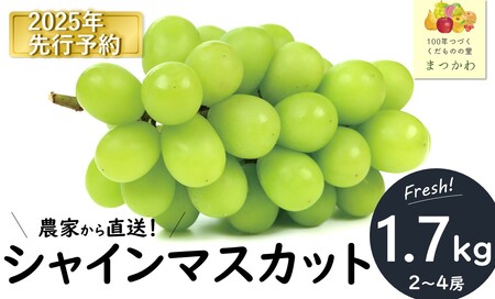 KG01-25A【2025年先行予約】ぶどう シャインマスカット 贈答 約1.7kg / 2025年9月下旬頃～配送予定 // 長野県 松川町 葡萄 ぶどう ブドウ 産地直送 農家直送 シャインマスカット マスカット 種なし 皮ごと 贈答