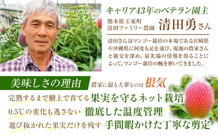 マンゴー 秀品 清田ファミリー農園 2玉