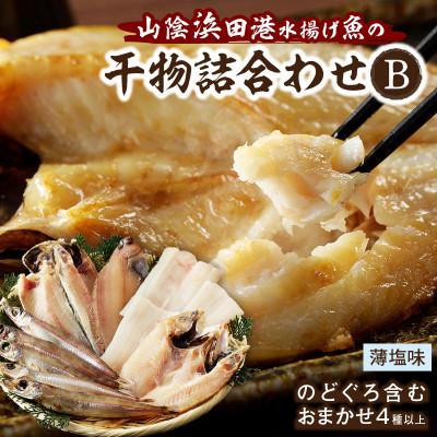 ふるさと納税 浜田市 山陰浜田産厳選　魚の薄塩味干物詰合せB(のどぐろを含む)