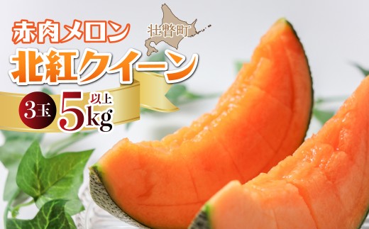 ＜2026年7月上旬よりお届け＞北海道壮瞥産 赤肉メロン「北紅クイーン」3玉入り 約5kg以上  【 ふるさと納税 人気 おすすめ ランキング メロン めろん 北紅クイーン 果物 甘い 赤肉 北海道 壮瞥町 送料無料 】 SBTP005