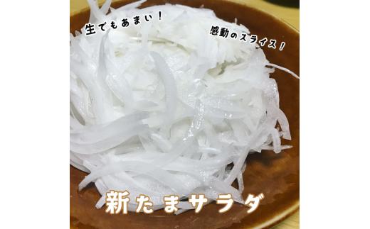 【野口ファーム】幻の冬の新たまねぎ 10kg　約30個入　◆配送12月〜